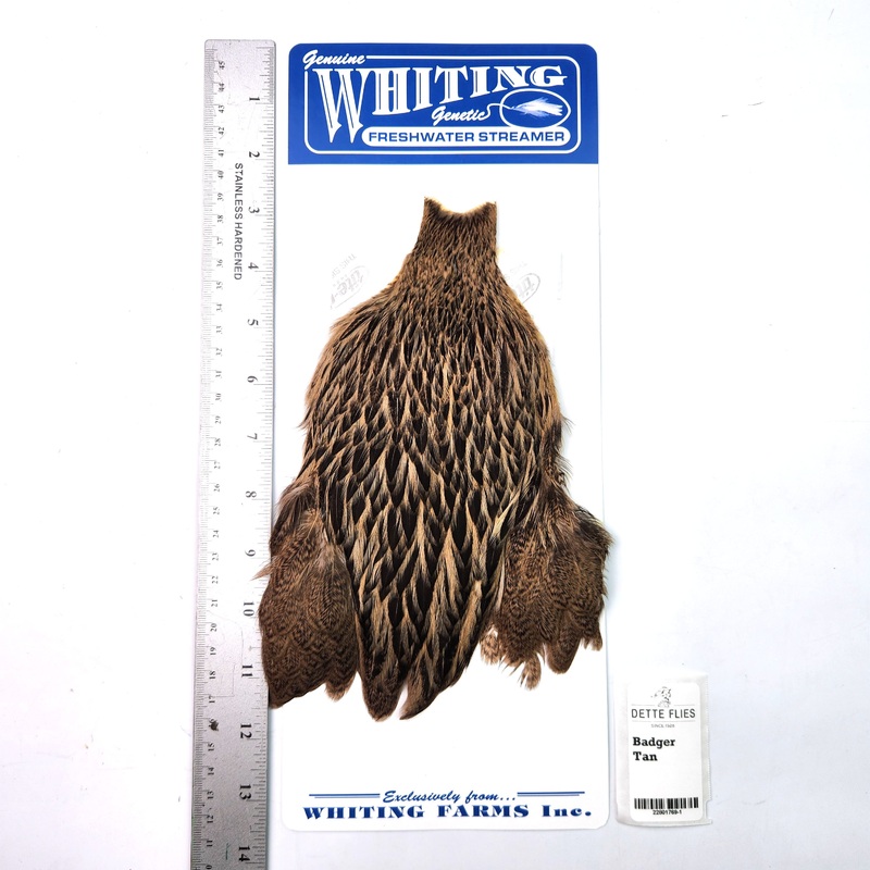 Badger dyed Tan – Whiting Freshwater Streamer Hen Cape (#1)