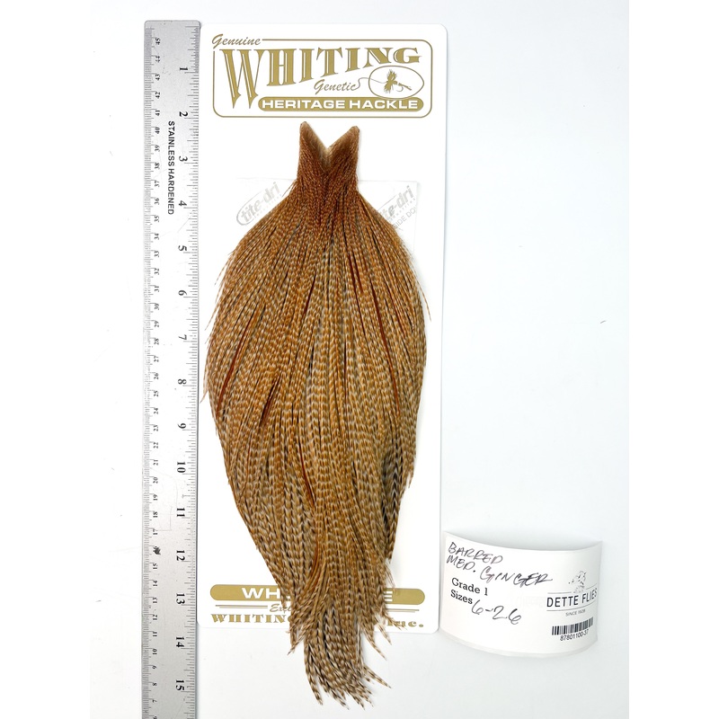 Barred Medium Ginger – Whiting Heritage Hackle Rooster Cape – Grade 1 (#37)