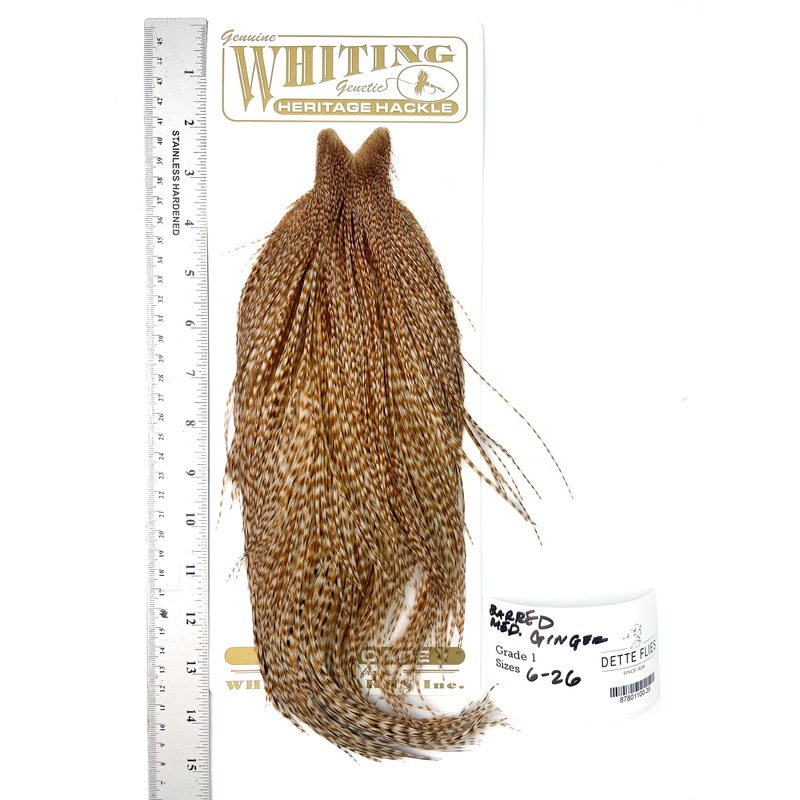 Barred Medium Ginger – Whiting Heritage Hackle Rooster Cape – Grade 1 (#39)