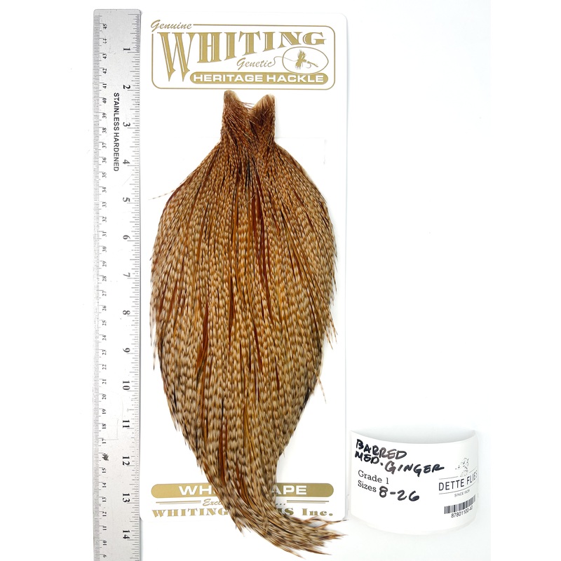 Barred Medium Ginger – Whiting Heritage Hackle Rooster Cape – Grade 1 (#40)