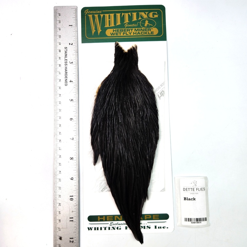 Black – Whiting Hebert Hen Cape (#5)