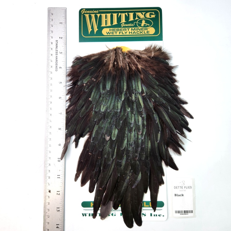 Black – Whiting Hebert Hen Saddle (#5)