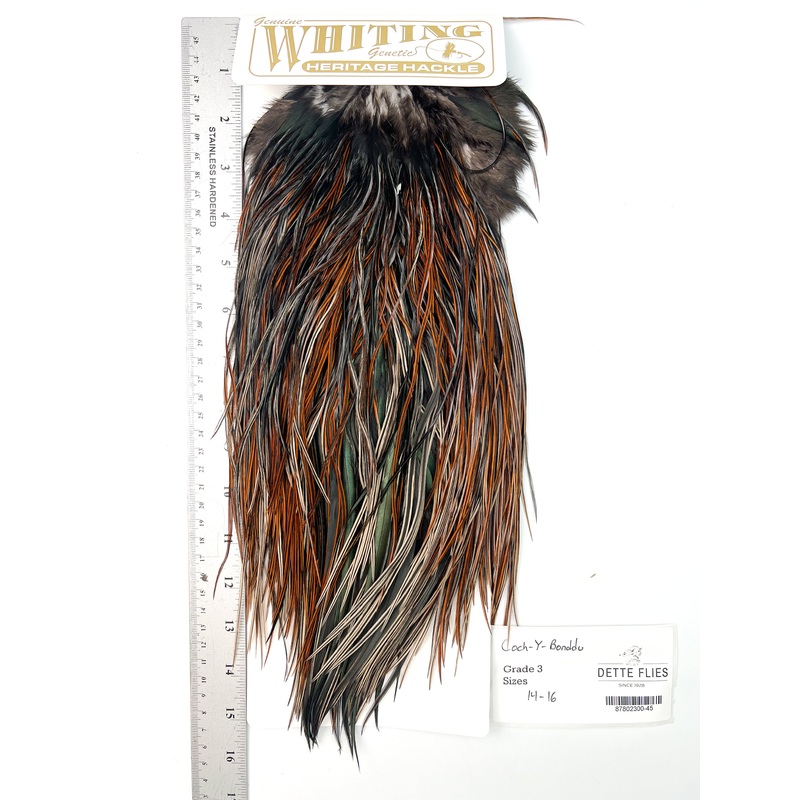 Coch-Y-Bonddu – Whiting Heritage Hackle Rooster Saddle – Grade 3 (#45)