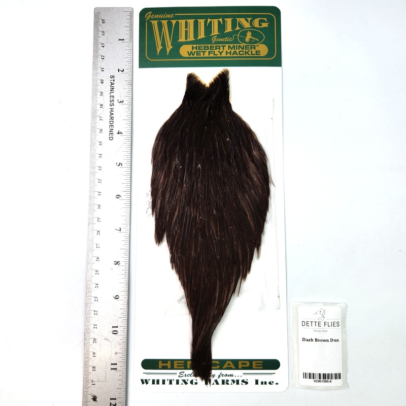 Dark Brown Dun – Whiting Hebert Hen Cape (#6)