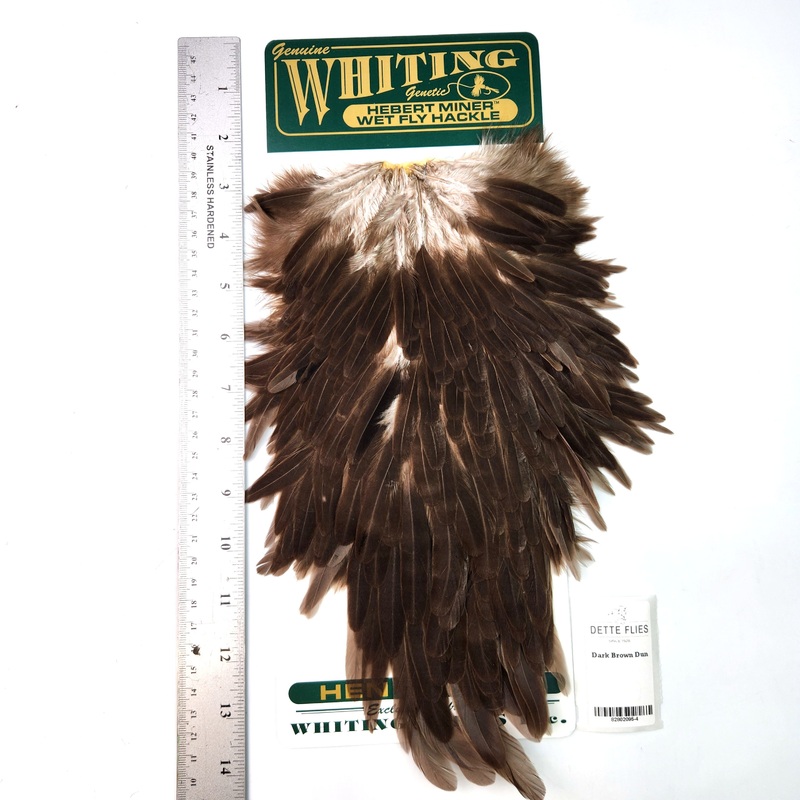Dark Brown Dun – Whiting Hebert Hen Saddle (#4)