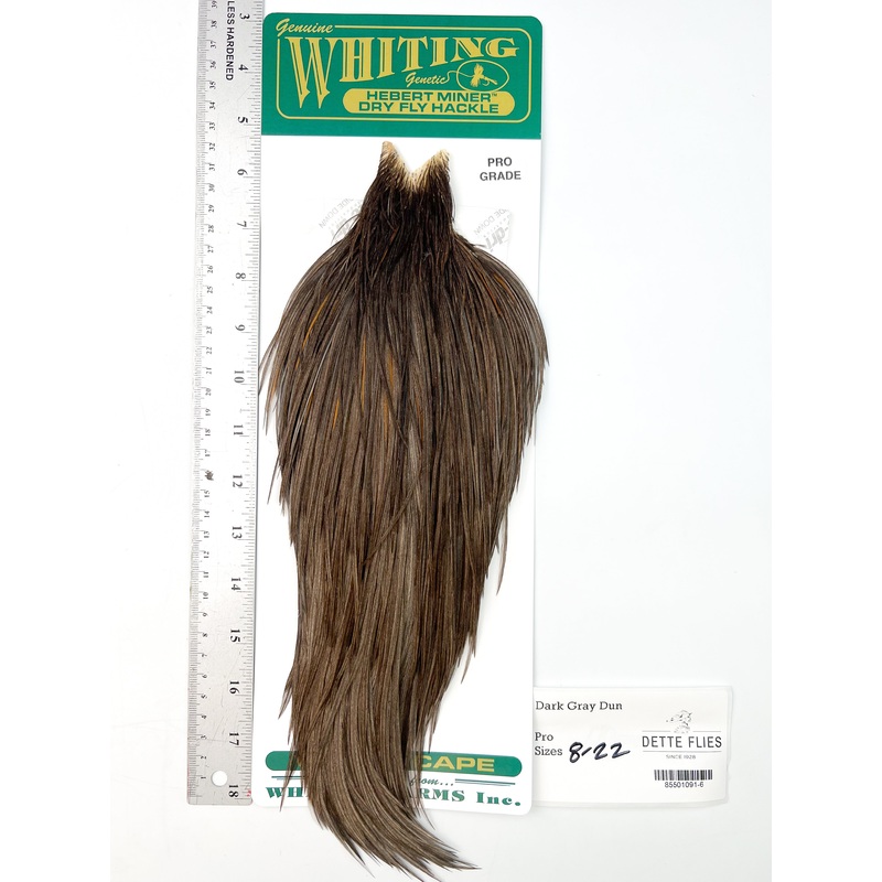 Dark Gray Dun – Whiting Hebert Rooster Cape | Pro Grade (#6)