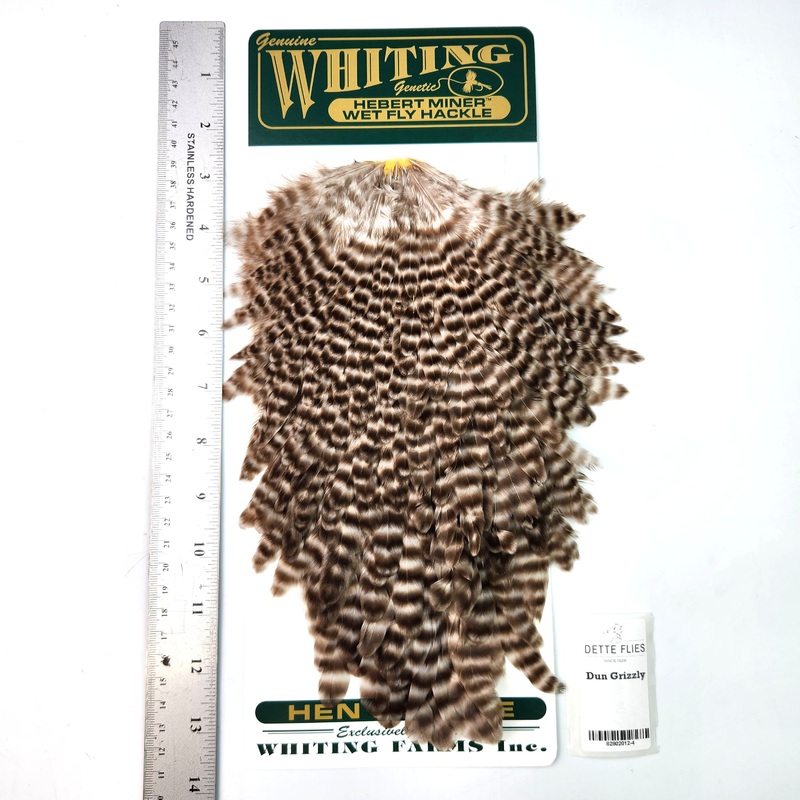 Dun Grizzly – Whiting Hebert Hen Saddle (#4)