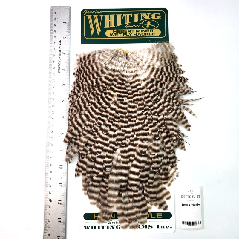 Dun Grizzly – Whiting Hebert Hen Saddle (#5)