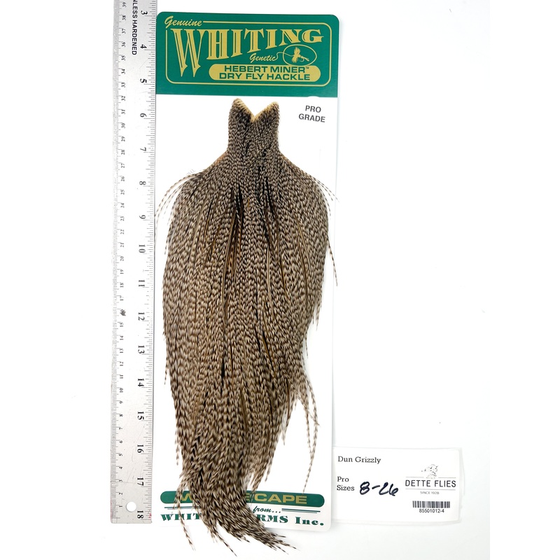 Dun Grizzly – Whiting Hebert Rooster Cape | Pro Grade (#4)