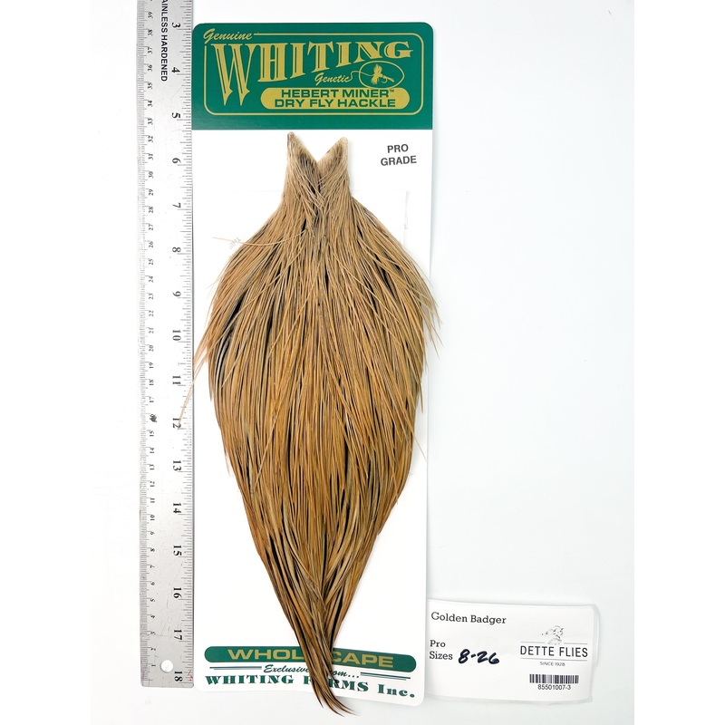 Golden Badger – Whiting Hebert Rooster Cape | Pro Grade (#3)