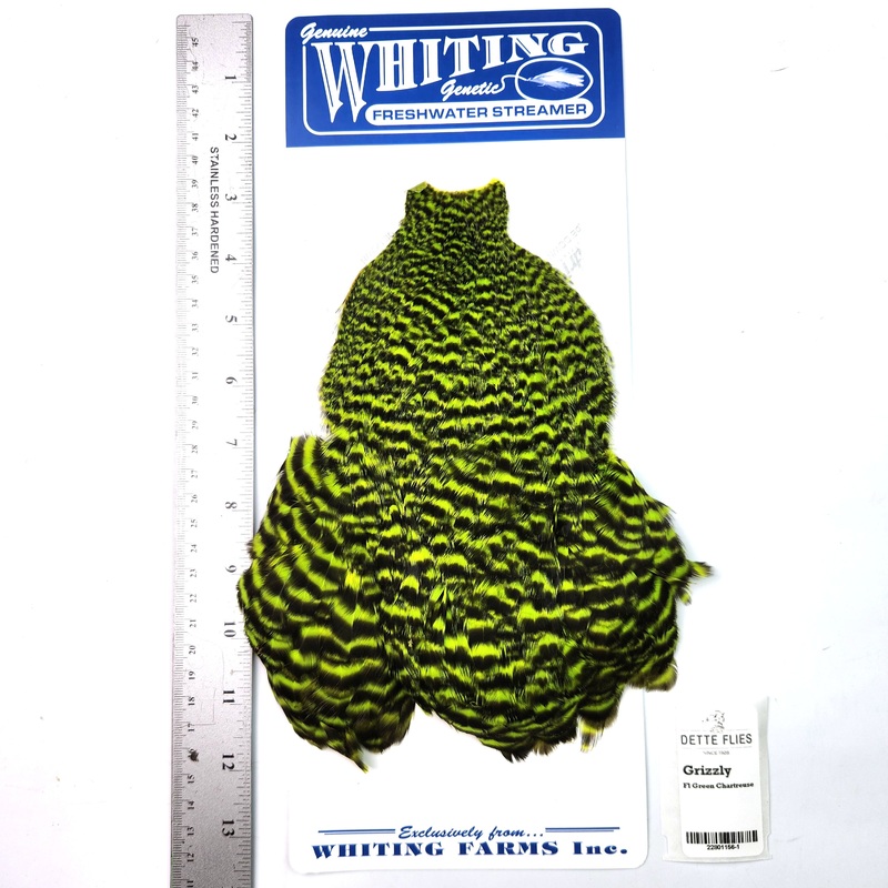 Grizzly dyed Fl Green Chartreuse – Whiting Freshwater Streamer Hen Cape (#1)