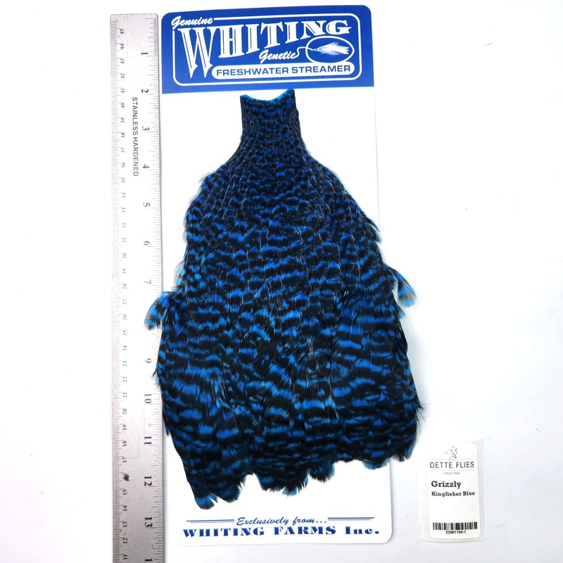 Grizzly dyed Kingfisher Blue – Whiting Freshwater Streamer Hen Cape (#1)