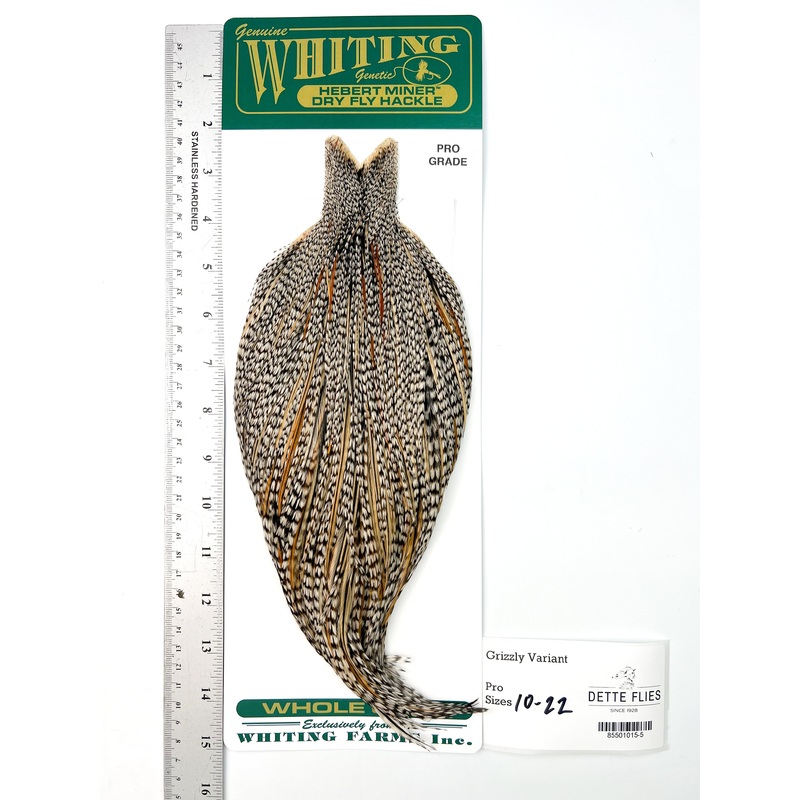 Grizzly Variant – Whiting Hebert Rooster Cape | Pro Grade (#5)