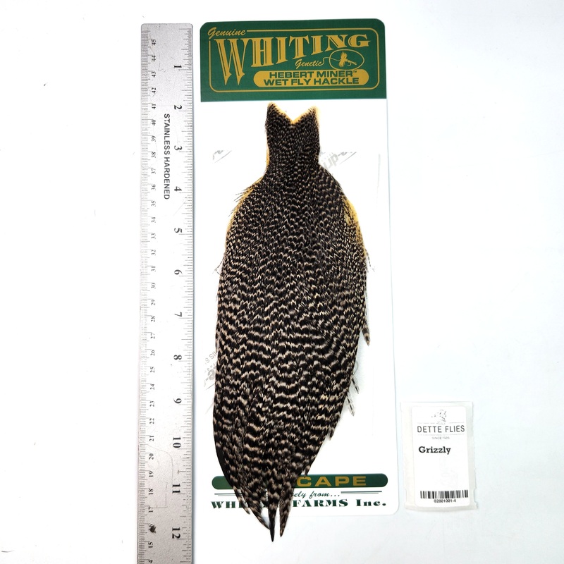Grizzly – Whiting Hebert Hen Cape (#4)