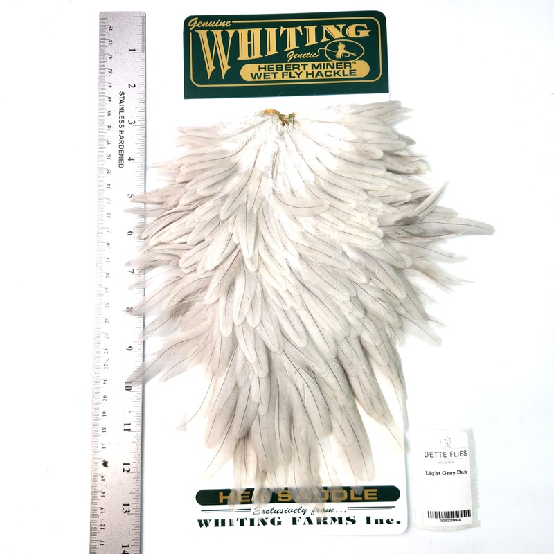Light Gray Dun – Whiting Hebert Hen Saddle (#4)