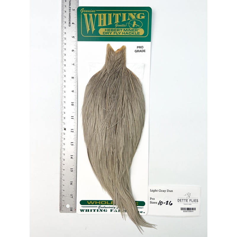 Light Gray Dun – Whiting Hebert Rooster Cape | Pro Grade (#4)