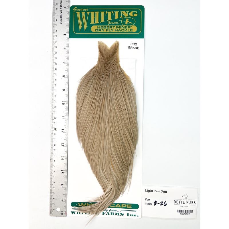 Light Tan Dun – Whiting Hebert Rooster Cape | Pro Grade (#4)