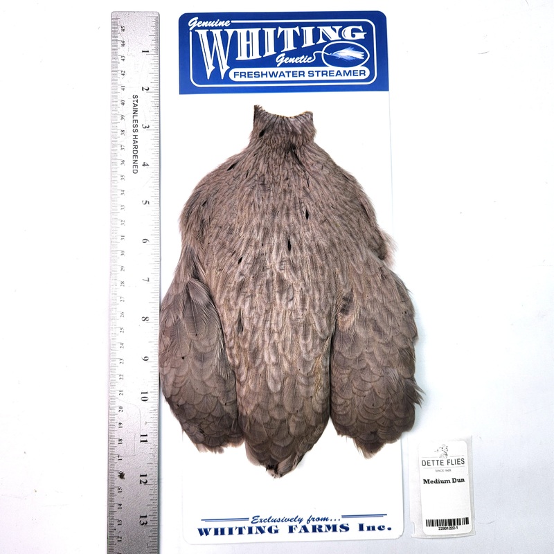 Medium Dun – Whiting Freshwater Streamer Hen Cape (#1)