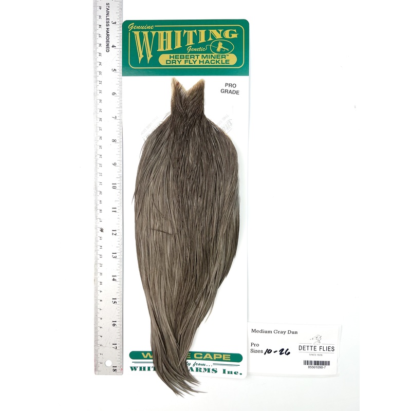 Medium Gray Dun – Whiting Hebert Rooster Cape | Pro Grade (#7)