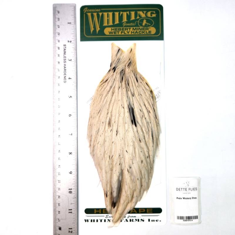 Pale Watery Dun – Whiting Hebert Hen Cape (#4)