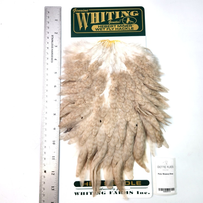 Pale Watery Dun – Whiting Hebert Hen Saddle (#4)