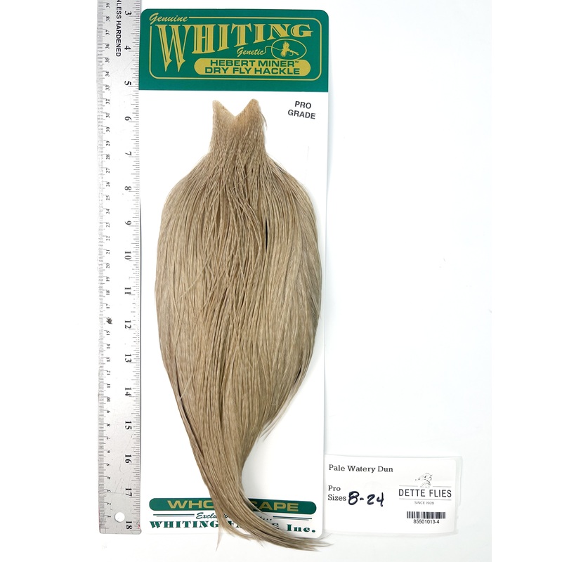 Pale Watery Dun – Whiting Hebert Rooster Cape | Pro Grade (#4)