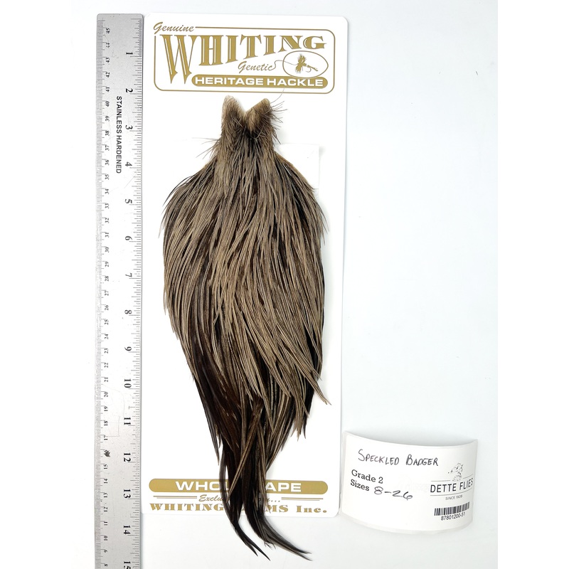 Speckled Badger – Whiting Heritage Hackle Rooster Cape – Grade 2 (#51)