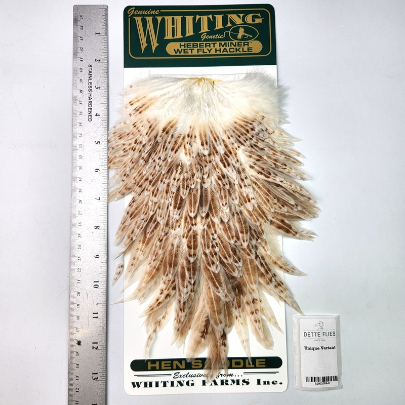 Unique Variant – Whiting Hebert Hen Saddle (#8)