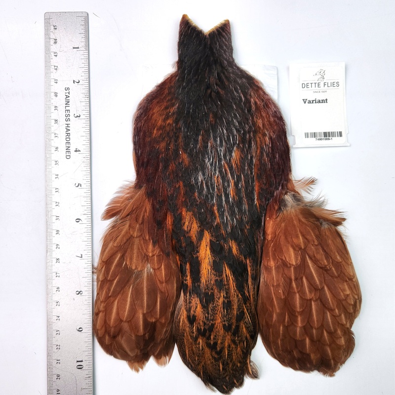 Variant – Whiting 4B Hen Cape (#1)