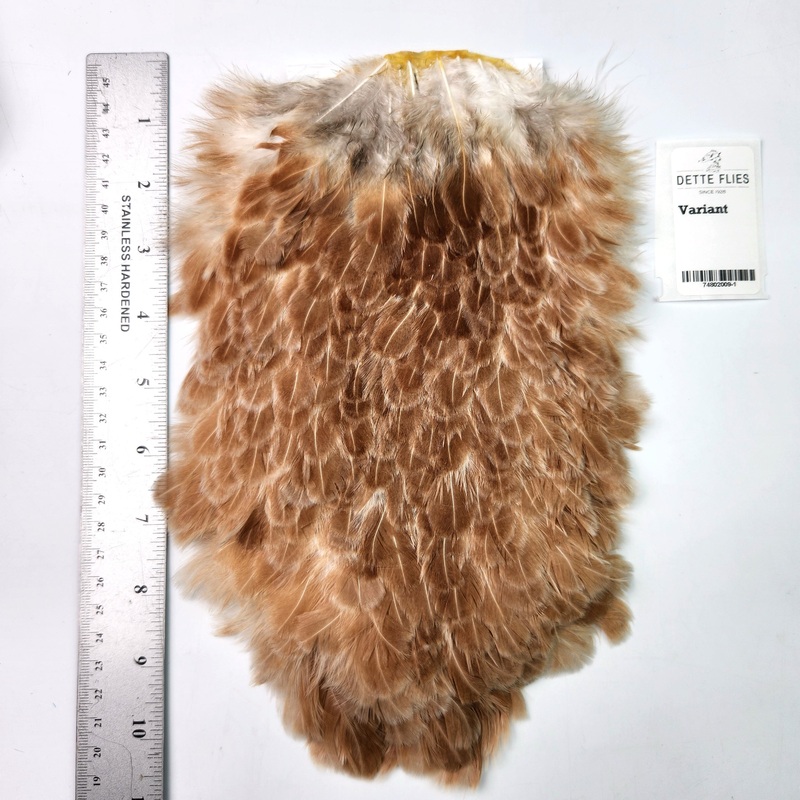 Variant – Whiting 4B Hen Saddle (#1)