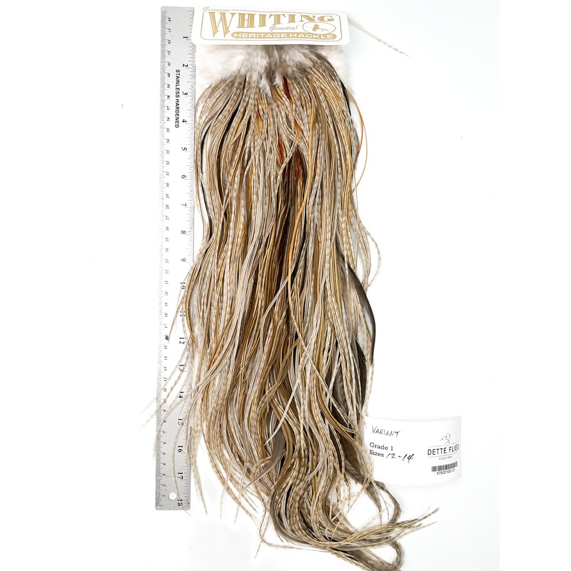 Variant – Whiting Heritage Hackle Rooster Saddle – Grade 1 (#13)