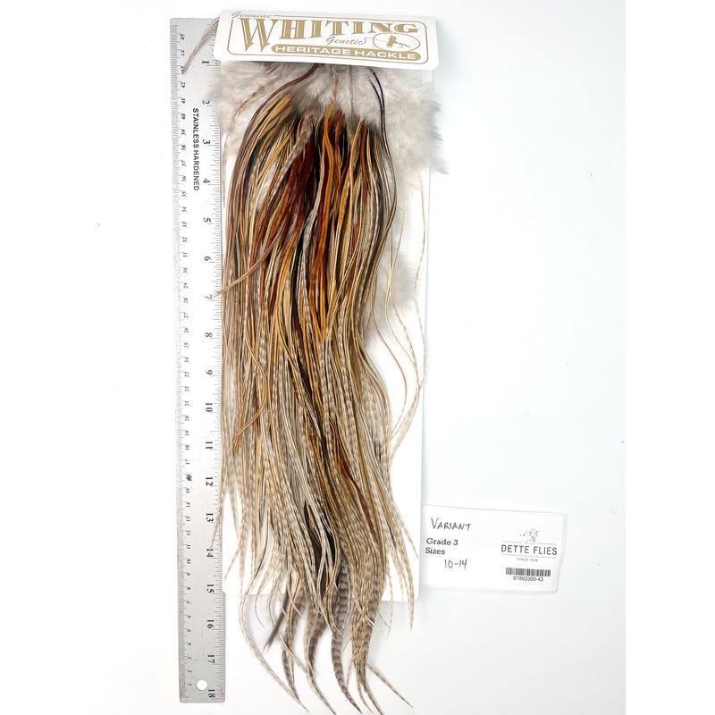 Variant – Whiting Heritage Hackle Rooster Saddle – Grade 3 (#43)