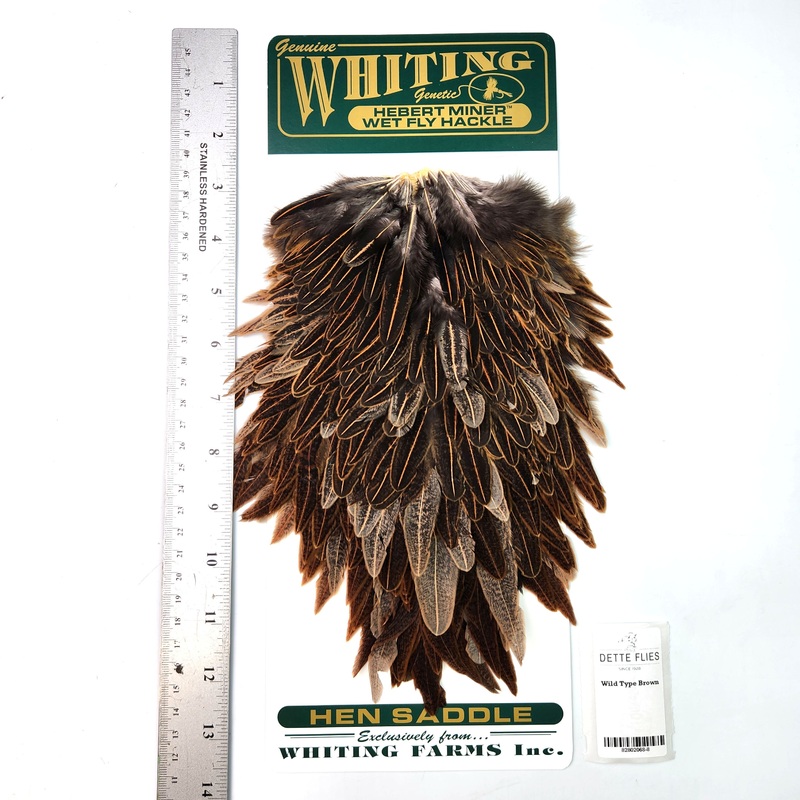 Wild Type Brown – Whiting Hebert Hen Saddle (#8)
