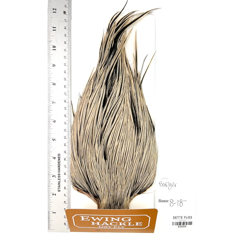 Badger – Ewing Dry Fly Rooster Cape (504)
