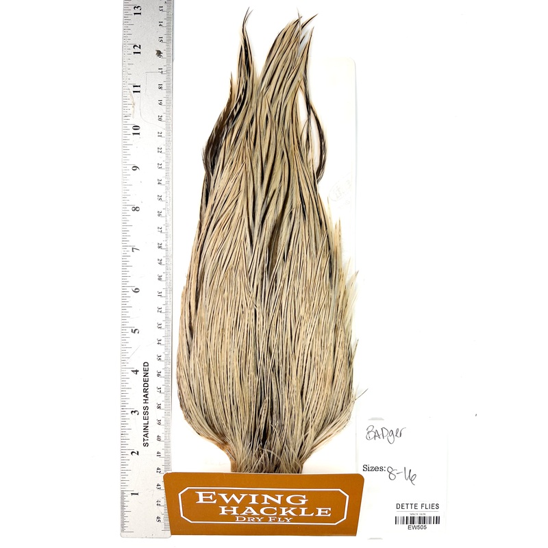 Badger – Ewing Dry Fly Rooster Cape (505)