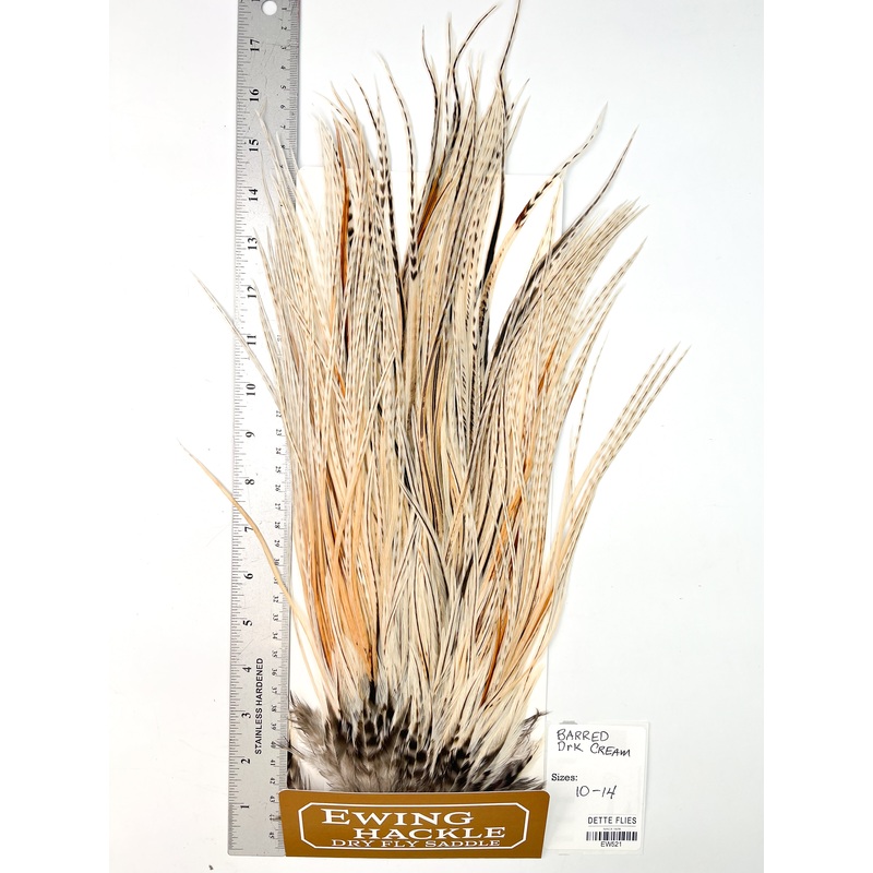 Barred Dark Cream – Ewing Dry Fly Rooster Saddle (521)