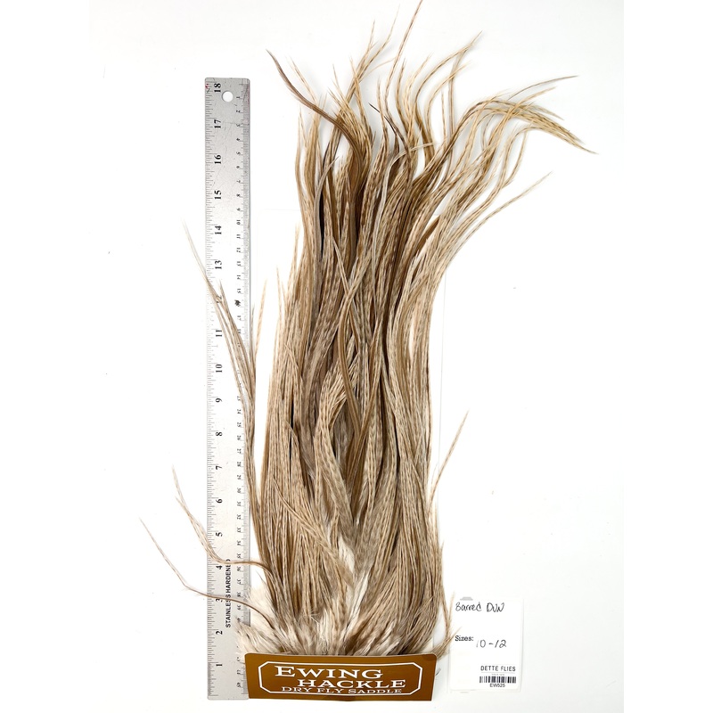 Barred Dun – Ewing Dry Fly Rooster Saddle (525)