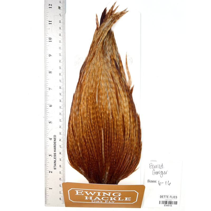 Barred Ginger – Ewing Dry Fly Rooster Cape (515)