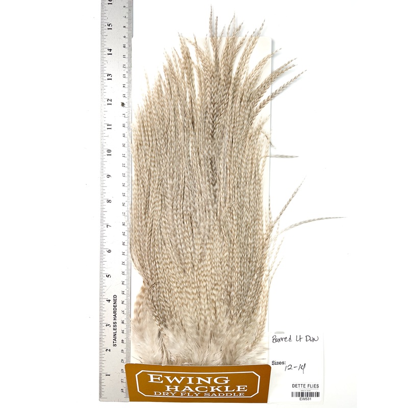Barred Light Dun – Ewing Dry Fly Rooster Saddle (531)