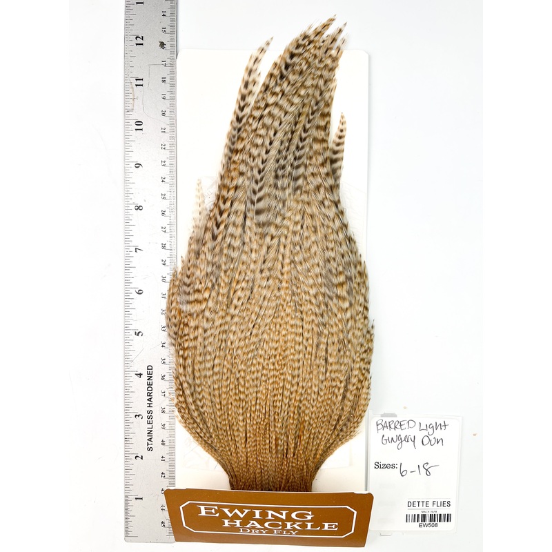 Barred Light Gingery Dun – Ewing Dry Fly Rooster Cape (508)