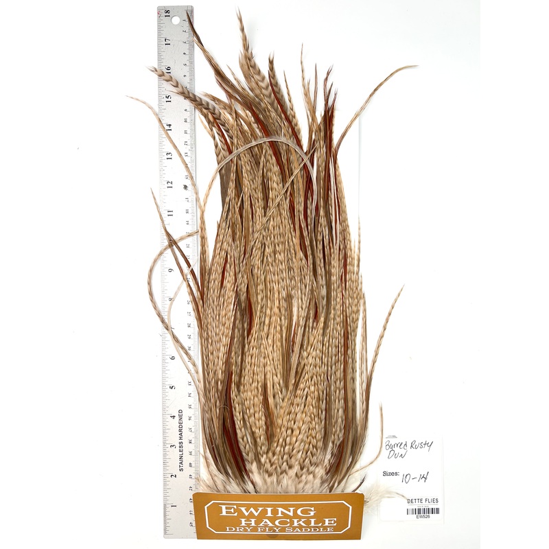 Barred Rusty Dun – Ewing Dry Fly Rooster Saddle (526)