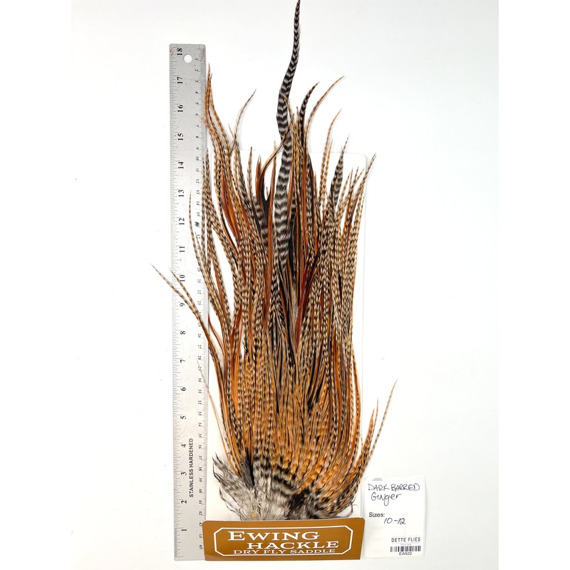 Dark Barred Ginger – Ewing Dry Fly Rooster Saddle (522)