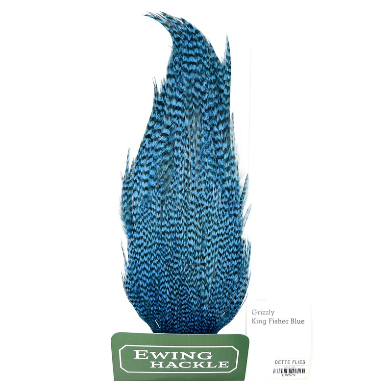 Grizzly dyed King Fisher Blue – Ewing Rooster Cape (579)