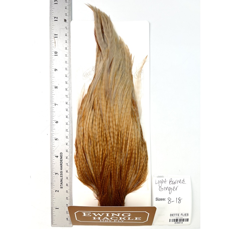 Light Barred Ginger – Ewing Dry Fly Rooster Cape (514)