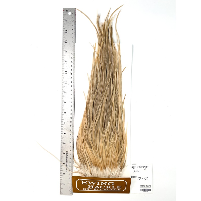 Light Ginger Dun – Ewing Dry Fly Rooster Saddle (539)