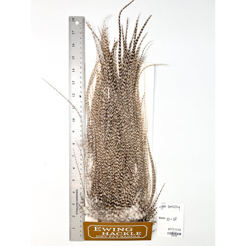 Light Grizzly – Ewing Dry Fly Rooster Saddle (534)