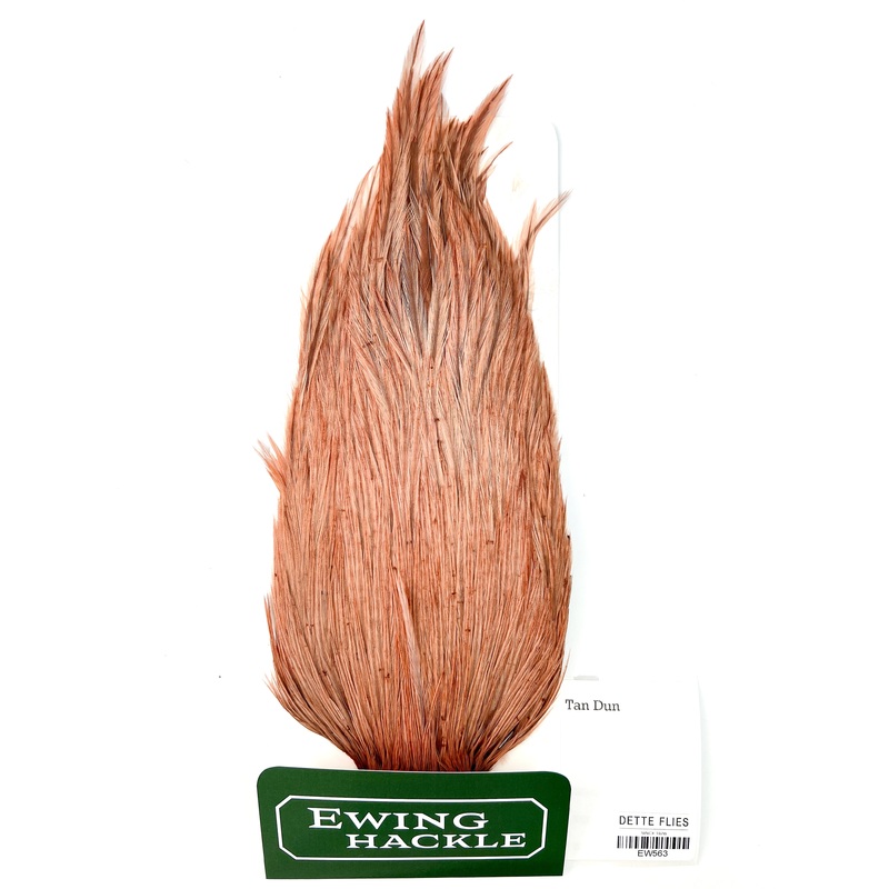 Tan Dun – Ewing Rooster Cape (563)