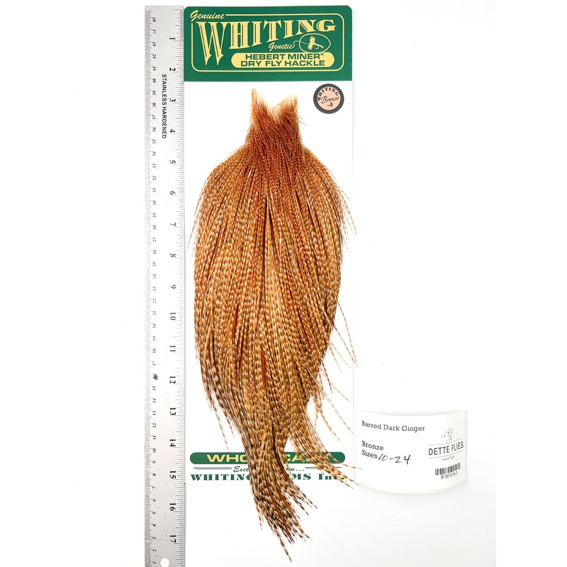 Barred Dark Ginger – Whiting Hebert Rooster Cape | Bronze Grade (#3)