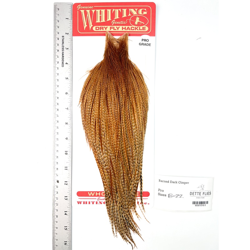 Barred Dark Ginger – Whiting Line Rooster Cape – Pro Grade (#3)