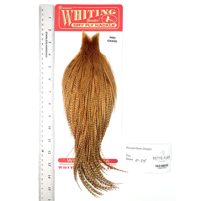 Barred Dark Ginger – Whiting Line Rooster Cape – Pro Grade (#4)